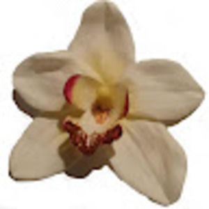 Meet your Posher, Mia